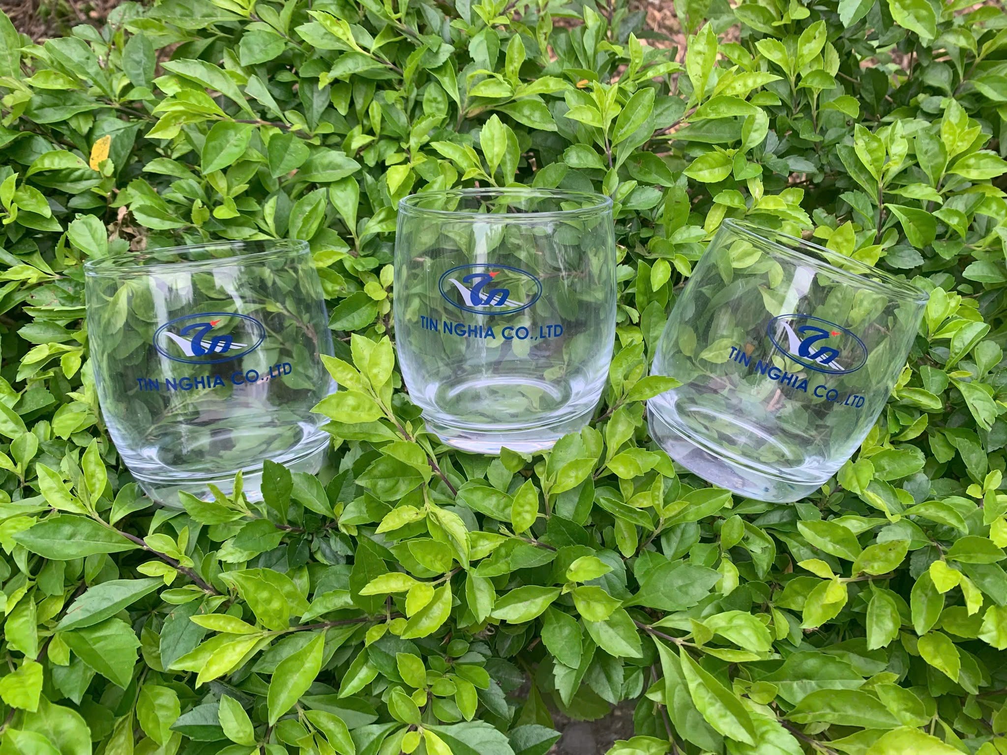 Dịch vụ in logo lên bộ ly thủy tinh tại Thanh Hóa Dịch vụ in logo lên bộ ly thủy tinh tại Thanh Hóa