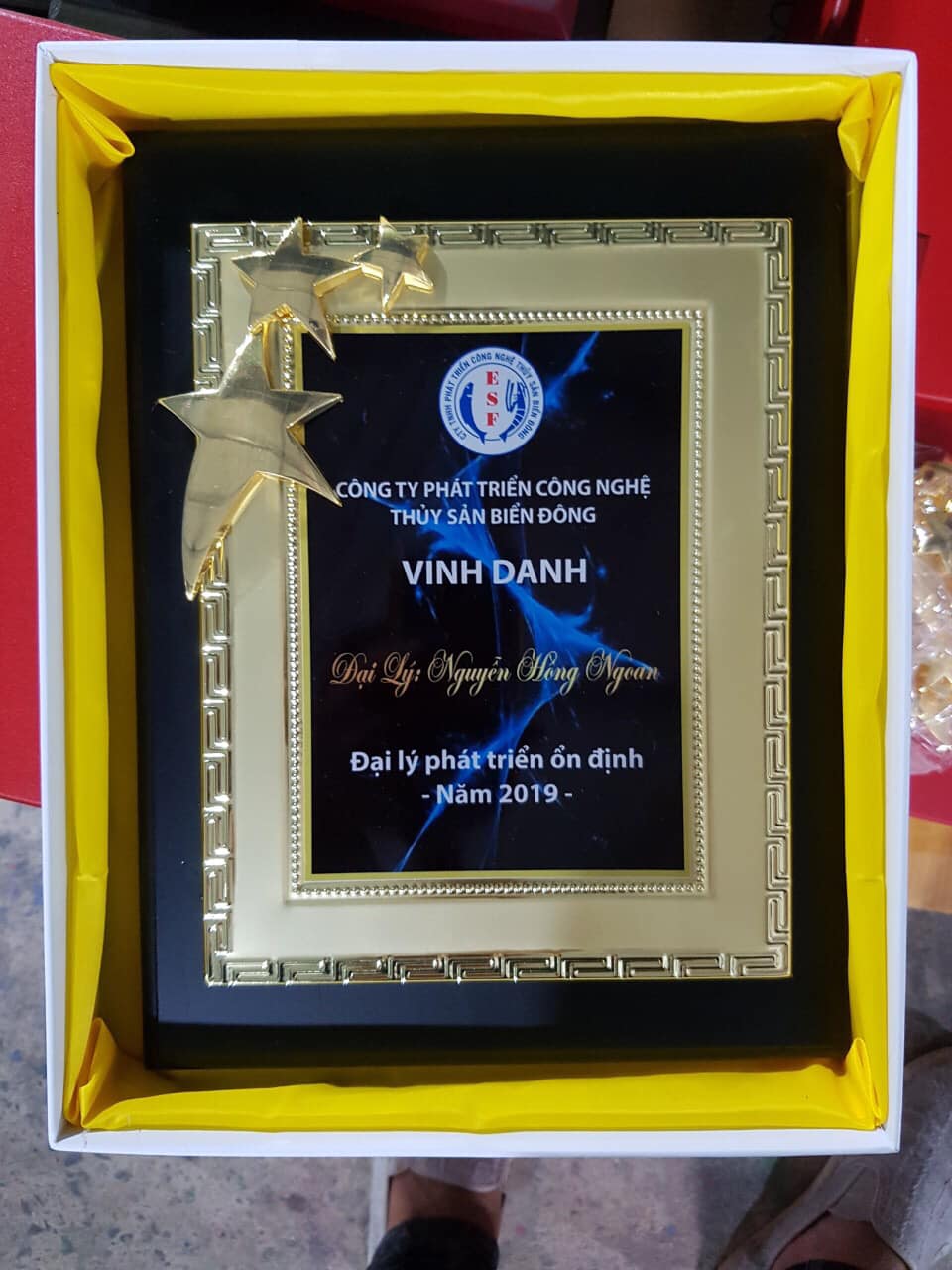 Bảng vinh danh gỗ đồng Ở Thanh Hóa Bảng vinh danh gỗ đồng Ở Thanh Hóa